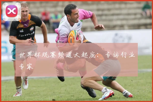世界杯观赛频道大起底:专访行业专家