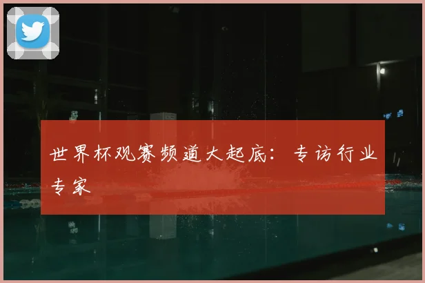 世界杯观赛频道大起底:专访行业专家