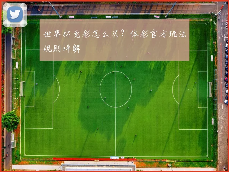 世界杯竞彩怎么买?体彩官方玩法规则详解