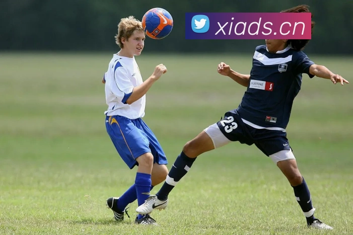 多媒体互动体验