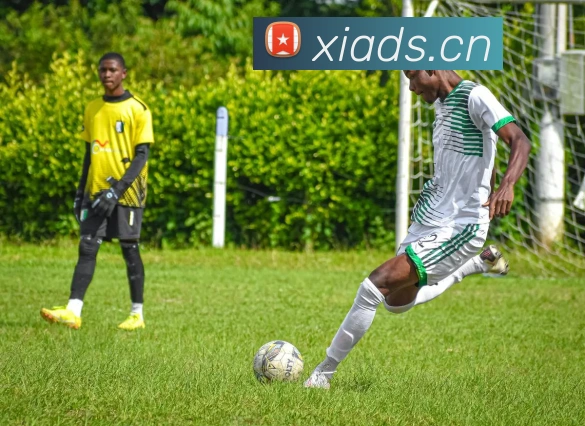 易倍emcAPP 体育赛事宣传图